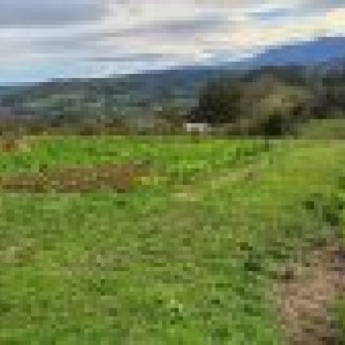 3 Fincas NO edificables en Tazones VILLAVICIOSA  (FIN