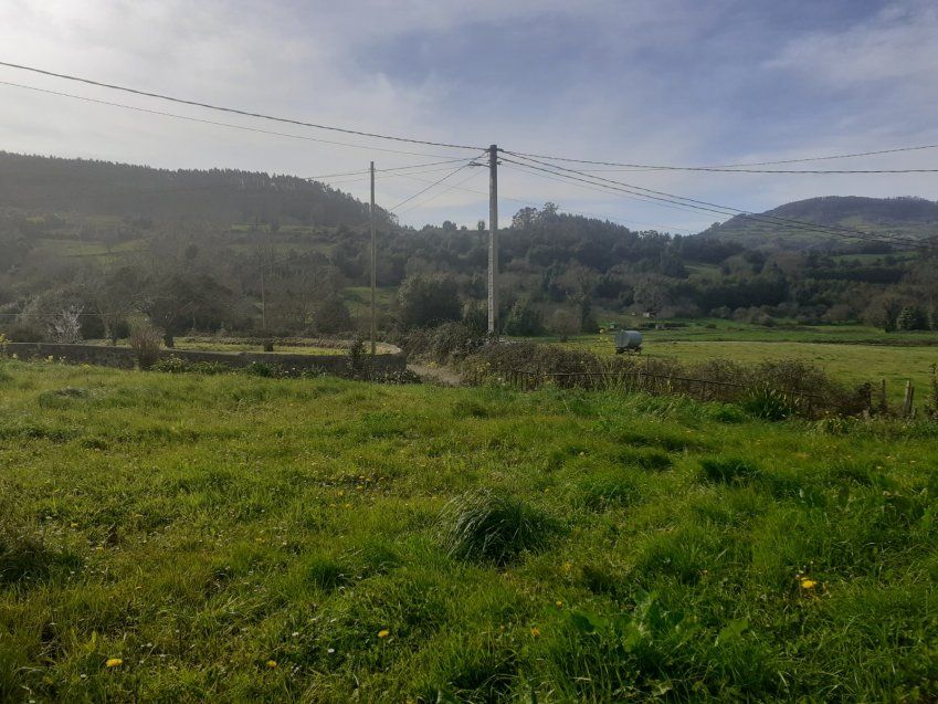 Finca edificable en Selorio   VILLAVICIOSA  (FIN