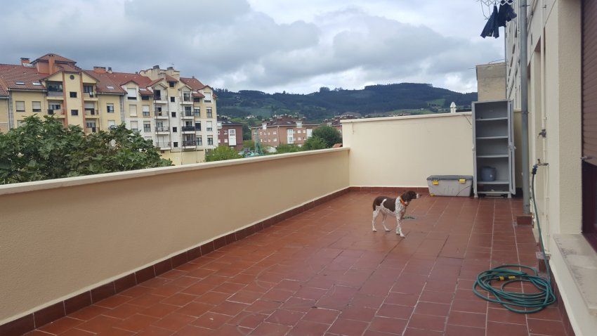 Alquiler piso en Villaviciosa (ALQ.0108)