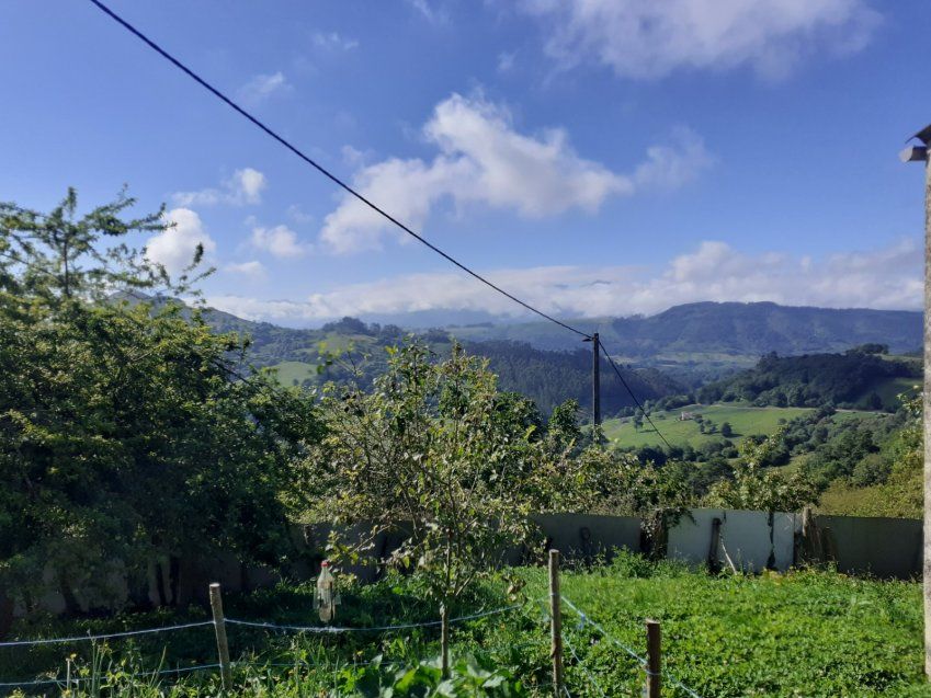 8f7462607a05cbfb9d8344026f3ffa4169471981