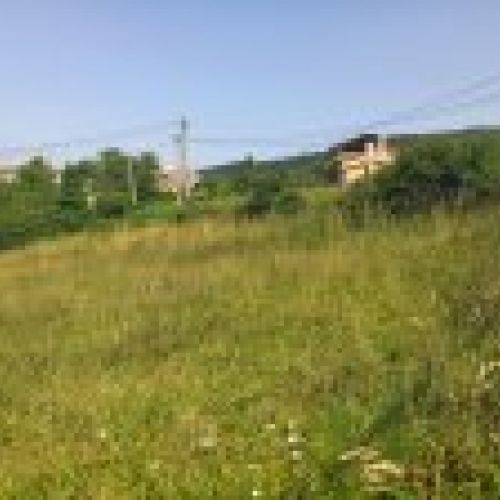 Finca edificable en zona de Selorio   VILLAVICIOSA  (FIN