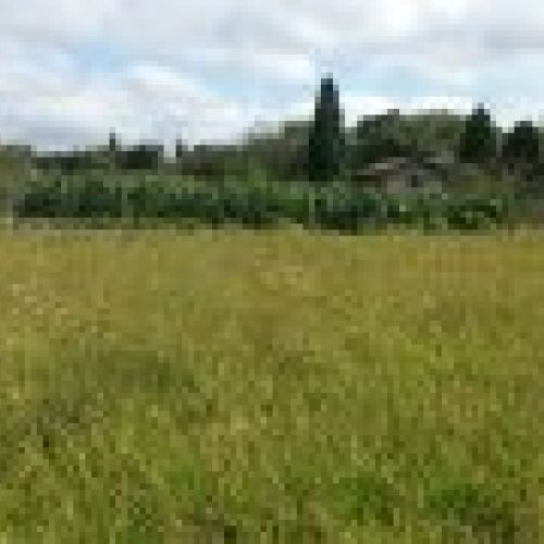 Finca edificable en Poreño   VILLAVICIOSA  (FIN