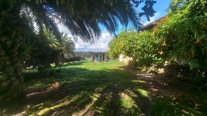 Casa de piedra con Cuadras y Llagar para reformar en Quintueles VILLAVICIOSA (REAB