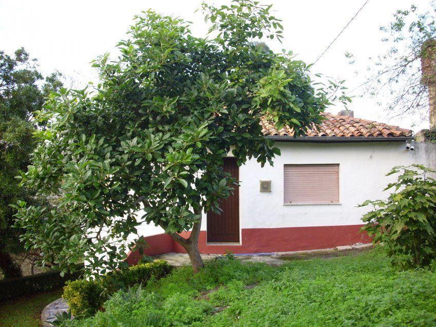 Casa independiente en El Picu Selorio (VILLAVICIOSA)(CAS
