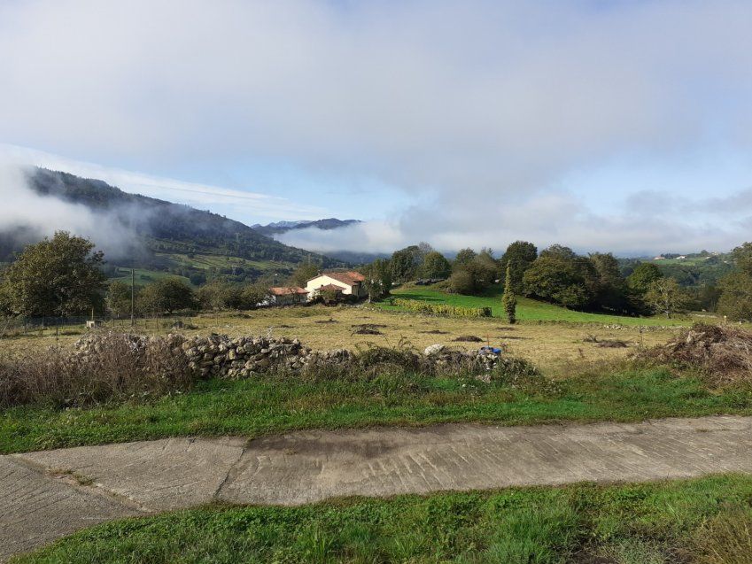 Finca edificable y parcelable en Pintueles   PILOÑA  (FIN