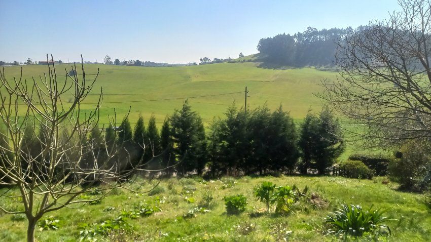 Finca edificable de 630m2