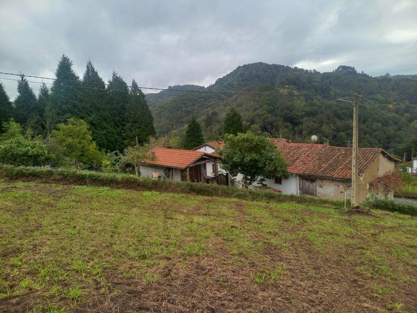 Finca edificable en CABRANES