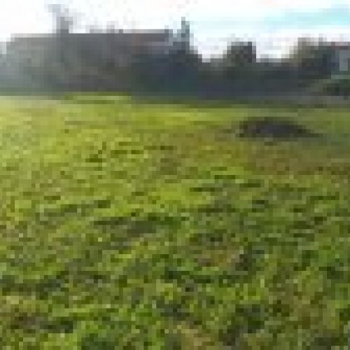 Finca edificable en Oles VILLAVICIOSA (FIN