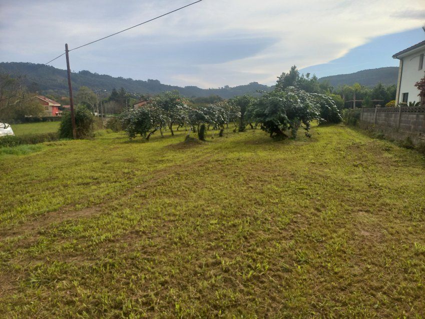 Finca edificable en Selorio   VILLAVICIOSA  (FIN