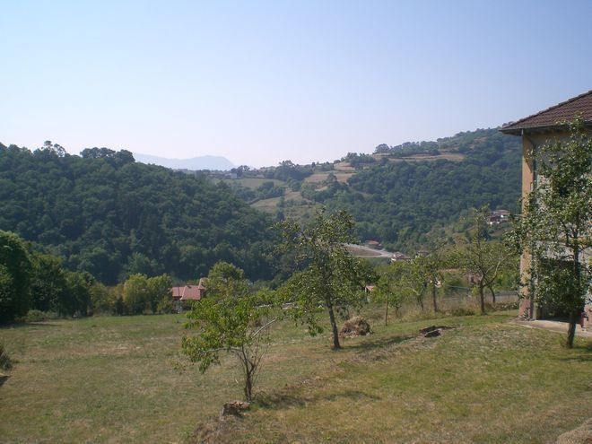 prod 196717