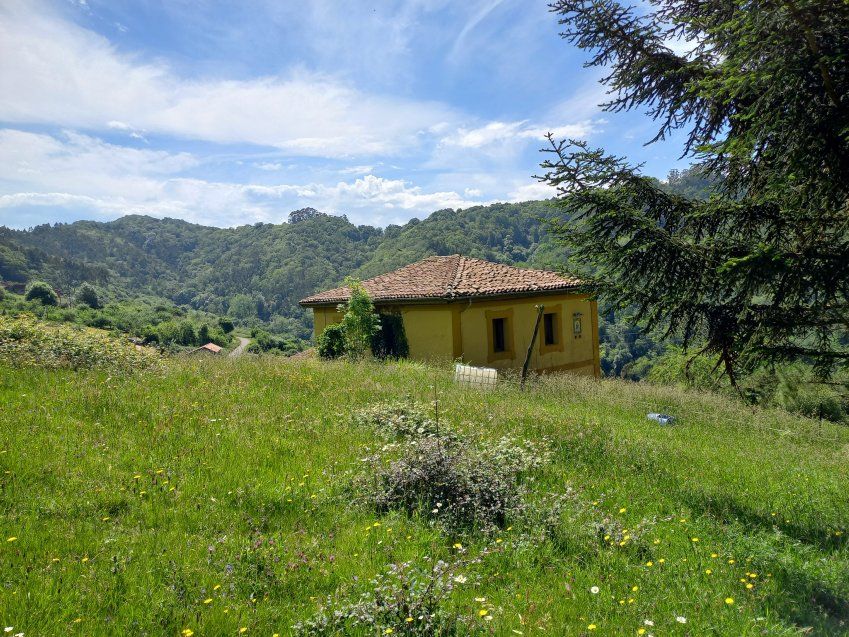 Casa de piedra independiente para reformar en CABRANES  (REAB