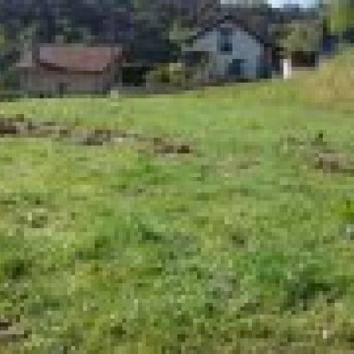 Finca edificable en CABRANES  (FIN