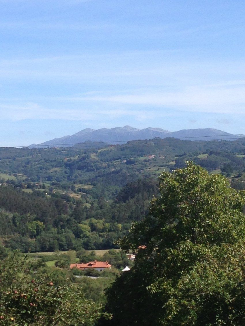 Venta de finca edificable en Villaviciosa  (FIN