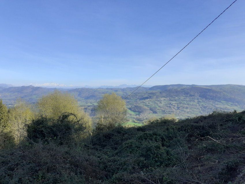 Casa de piedra independiente para reformar en VILLAVICIOSA  (REAB