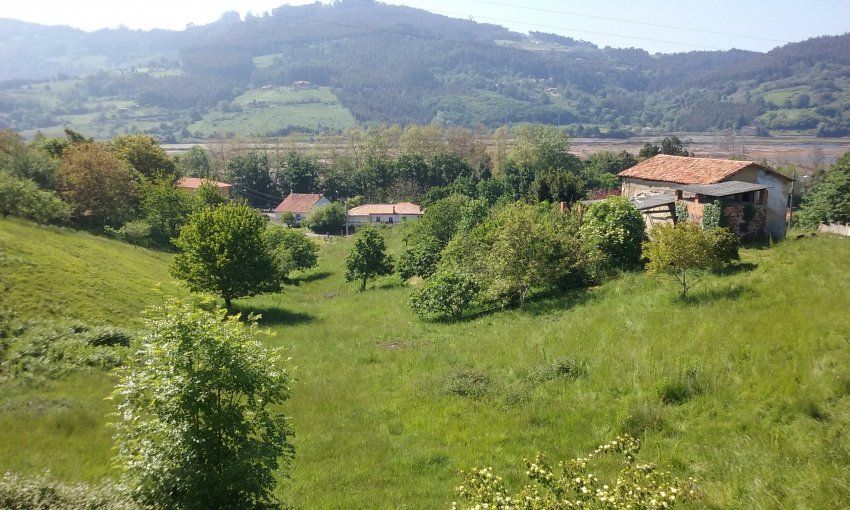 2ee60879d5b0878b5a022188a66abe2d3b8b41e7