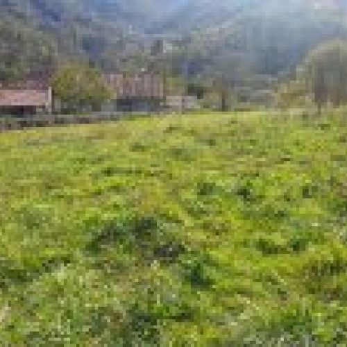 Finca edificable en CABRANES  (FIN