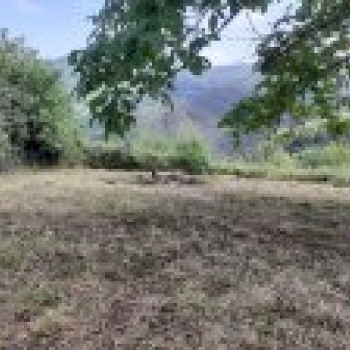 Casa de piedra para reformar en VILLAVICIOSA  (REAB