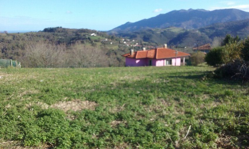 Finca edificable con una superficie de 970m2