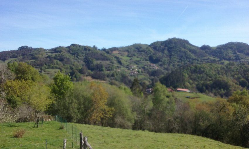 Finca edificable en CABRANES  (FIN