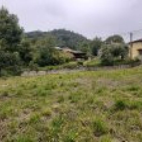 Finca edificable y Cuadra en CABRANES  (FIN