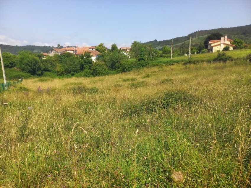 Finca edificable en zona de Selorio   VILLAVICIOSA  (FIN