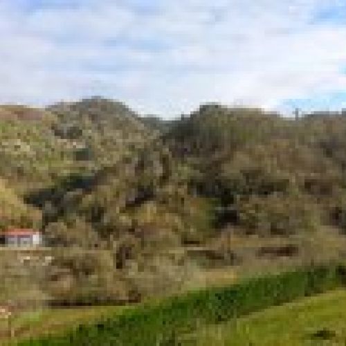 Casona de piedra rehabilitada en CABRANES  (CAS