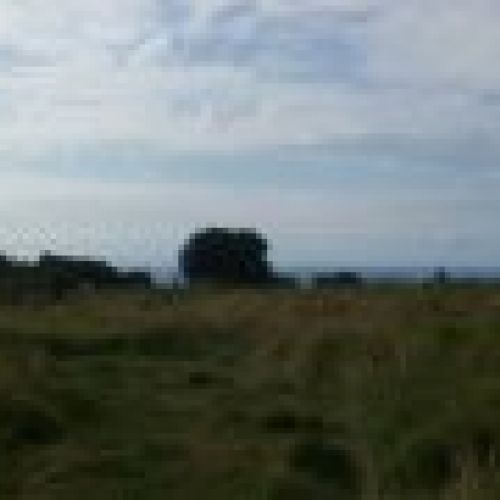 Finca edificable en Careñes (VILLAVICIOSA)  (FIN
