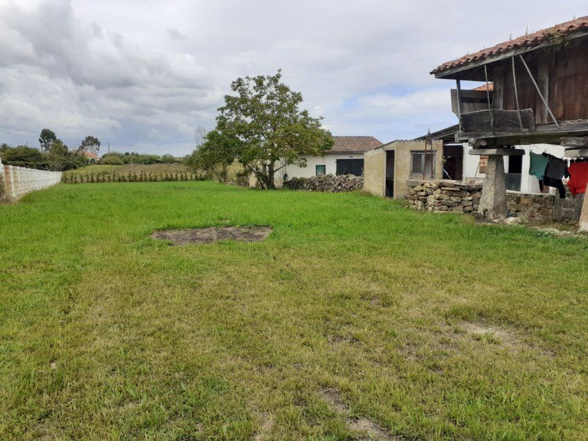 Finca edificable en Argüero   VILLAVICIOSA  (FIN