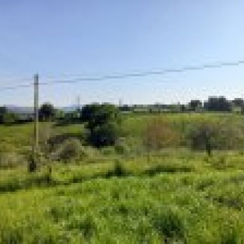 Finca edificable de 3