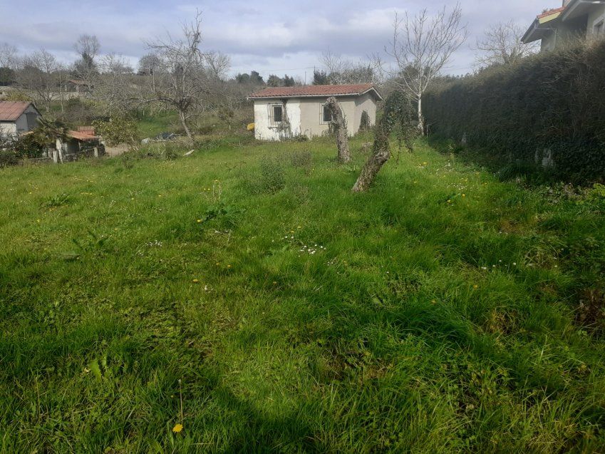 Finca edificable en Selorio   VILLAVICIOSA  (FIN