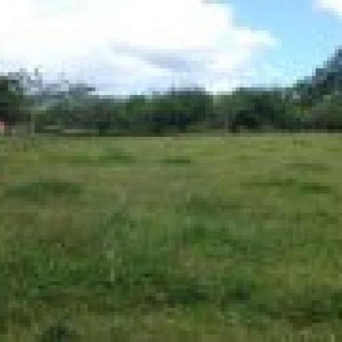 2 Fincas edificables en Selorio   VILLAVICIOSA  (FIN
