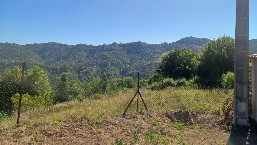 Llagar de piedra para cambio de uso a vivienda en VILLAVICIOSA  y Finca Edificable (REAB
