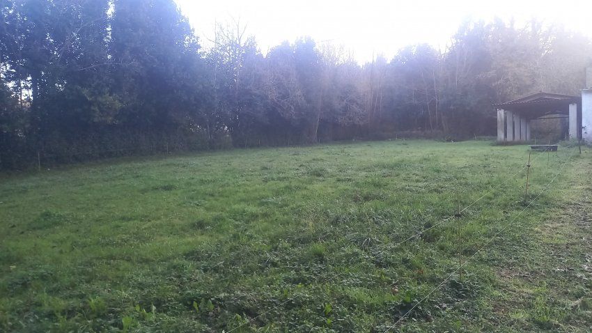 Finca edificable en Valdediós   VILLAVICIOSA  (FIN.0166)