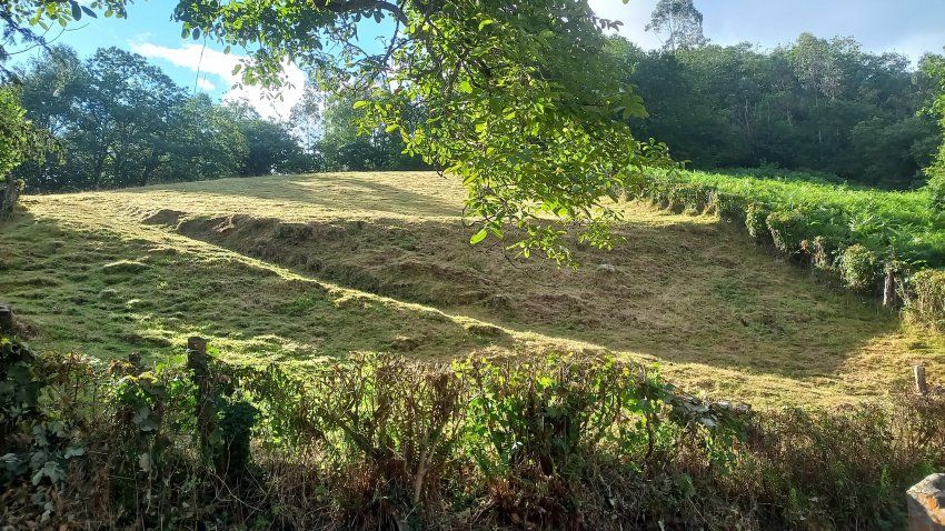 Finca edificable en VILLAVICIOSA  (FIN