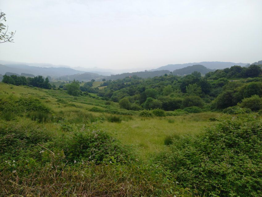 Finca con nave en VILLAVICIOSA  (FIN
