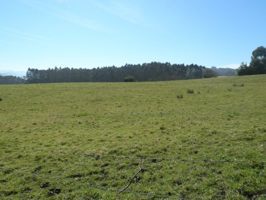 Venta de Fincas Edificables en OLES (VILLAVICIOSA)