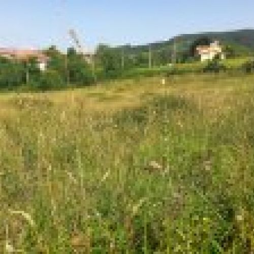 Finca edificable en zona de Selorio   VILLAVICIOSA  (FIN