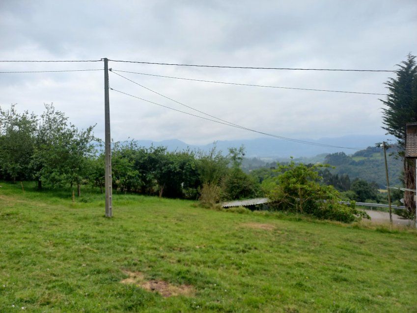 Finca edificable en CABRANES  (FIN