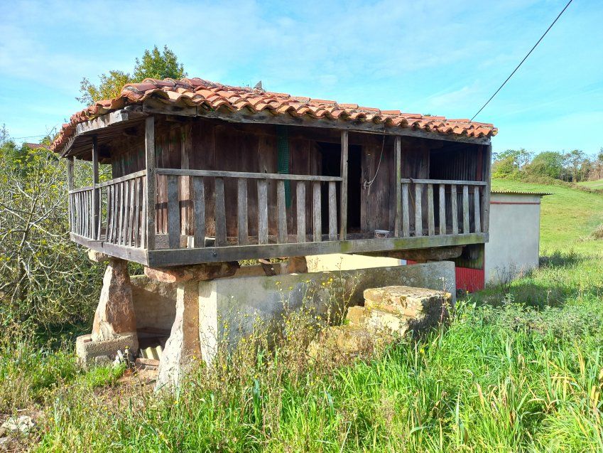 Casa independiente con Hórreo y Nave en VILLAVICIOSA  (CAS.0288)
