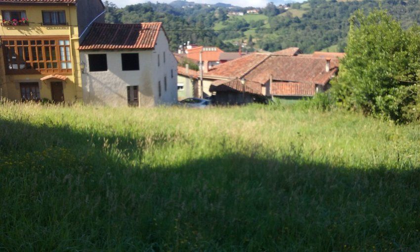 Finca edificable en el centro del casco urbano de Santolaya   CABRANES  (FIN