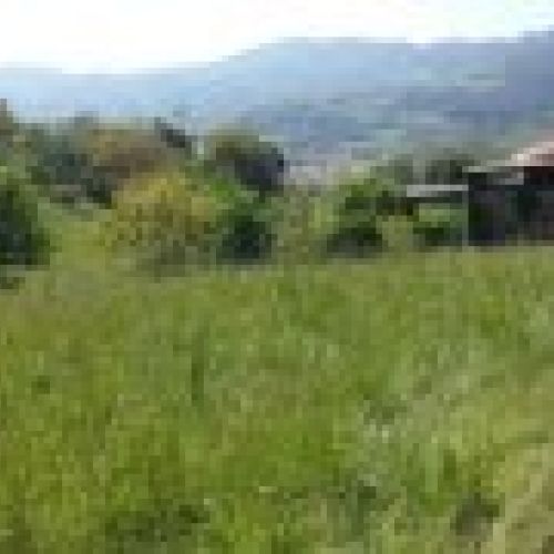 Fincas edificables en VILLAVICIOSA  (FIN