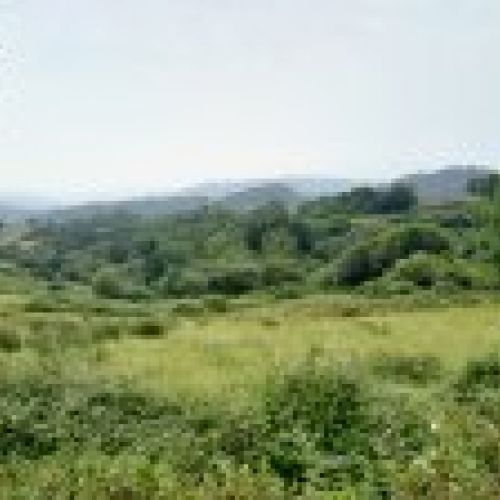 Finca con nave en VILLAVICIOSA  (FIN