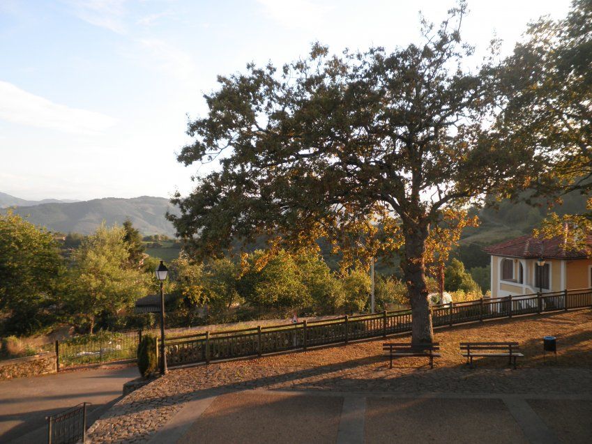 9d6e71550f384b8898601f5c09b25375fd10d0d1