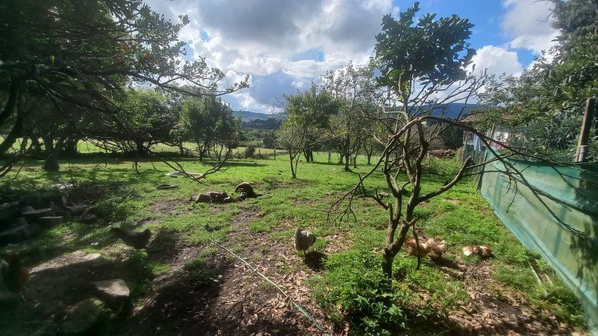 Casa de piedra con Cuadras y Llagar para reformar en Quintueles VILLAVICIOSA (REAB