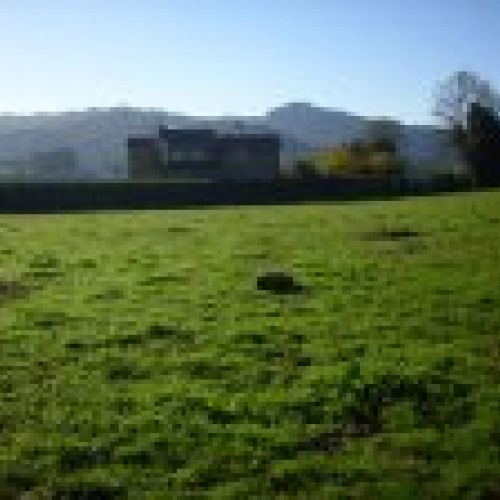 img 0002