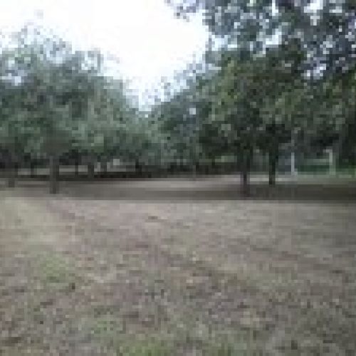 Venta de finca edificable en Villaviciosa  (FIN
