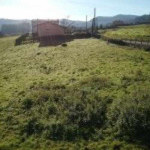 Fincas edificables en VILLAVICIOSA (FIN