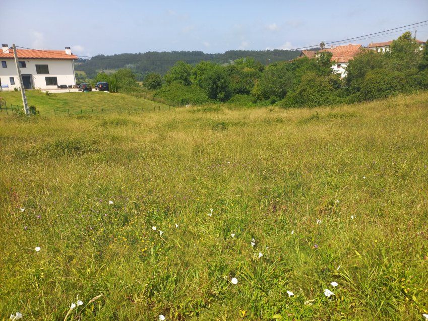 ff980909c5b8c7ac8f446a5eb1d7a2d5e9bbe480