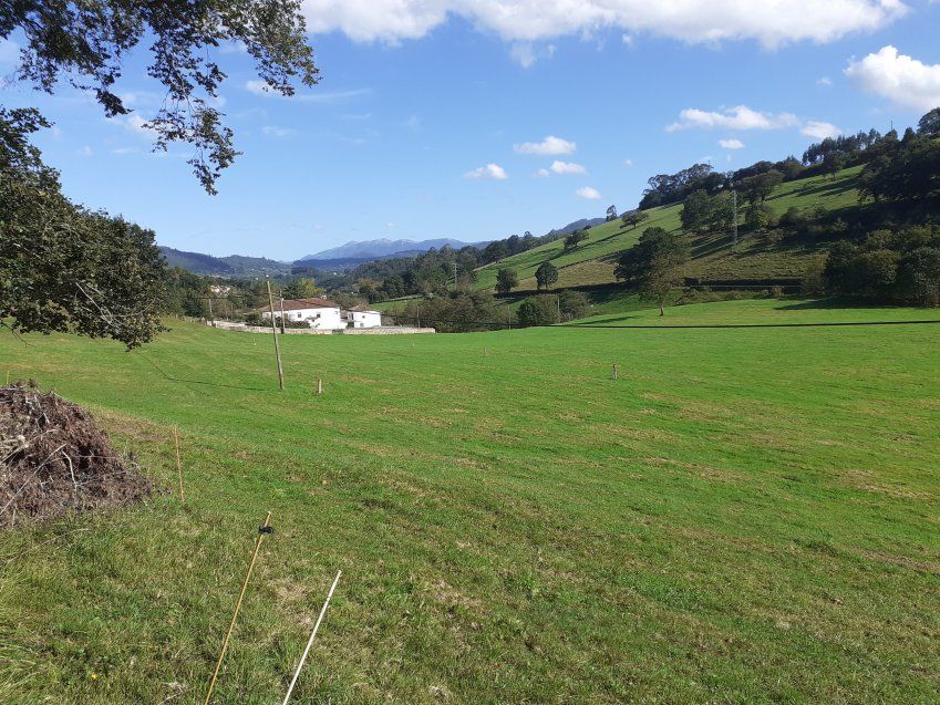 Fincas edificables a 4kms