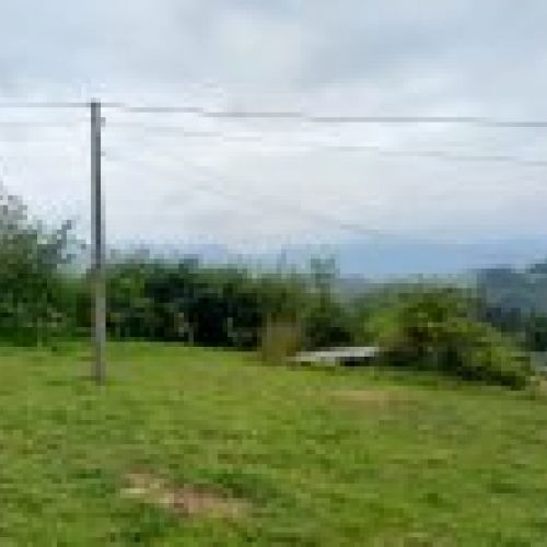 Finca edificable en CABRANES  (FIN